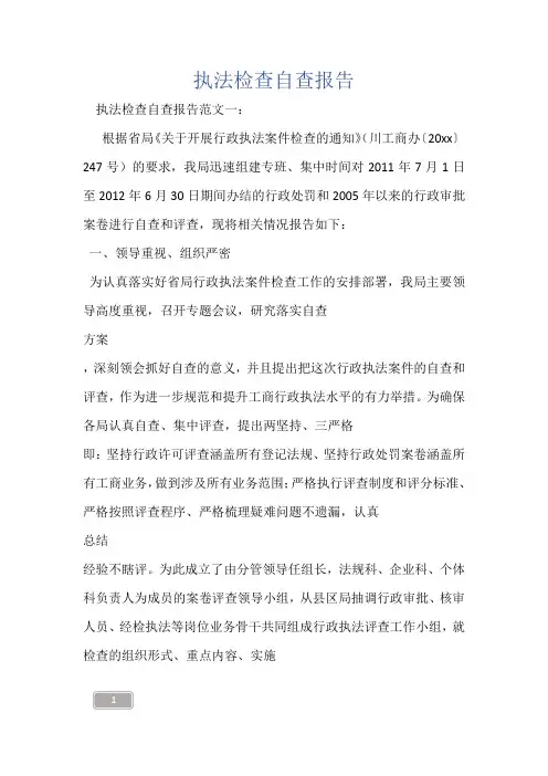 执法检查自查报告