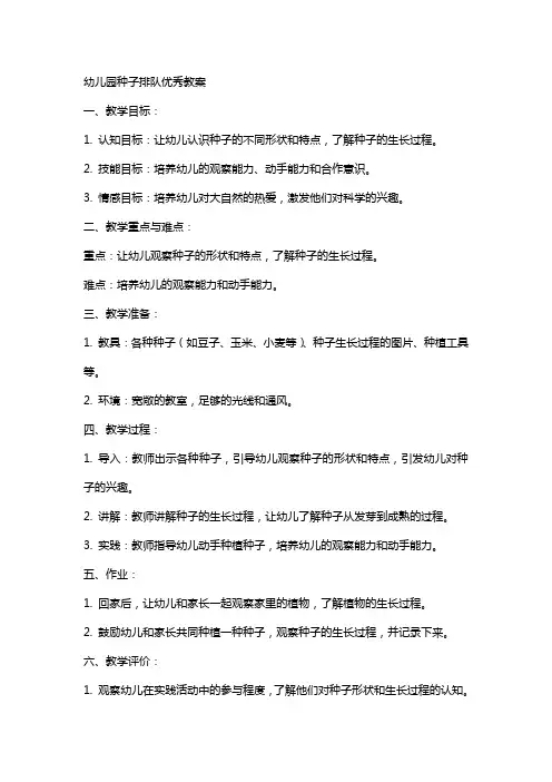 幼儿园种子排队教案