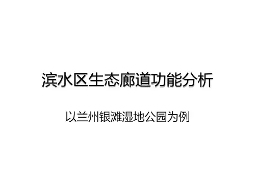 滨水区功能分析之生态廊道功能,以兰州银滩湿地公园为案例