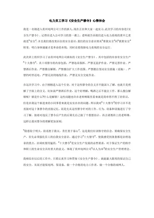 电力员工学习《安全生产禁令》心得体会