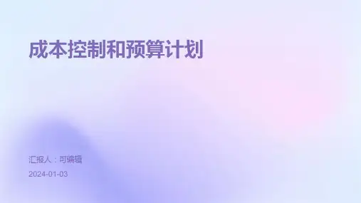 成本控制和预算计划