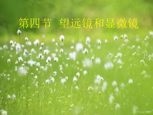 江苏教育版望远镜和显微镜PPT教学课件