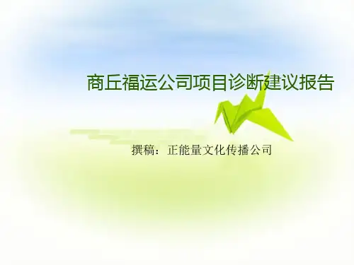 某公司项目管理及诊断管理知识分析报告.ppt