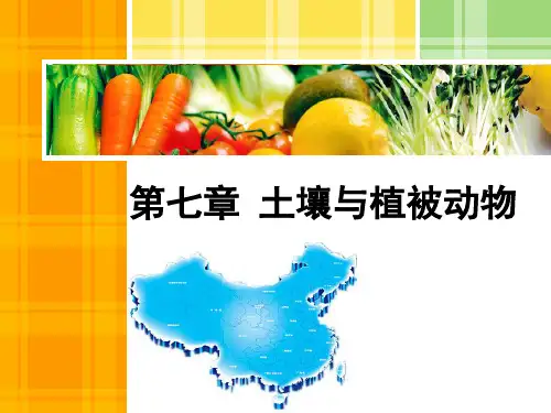 高师-《中国地理》第七章土壤与植被。