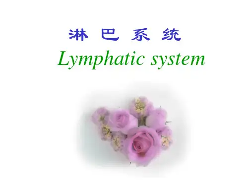 淋巴系统【37页】