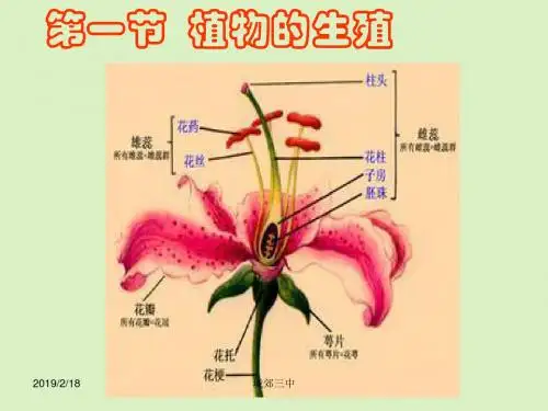 第一节   植物的生殖PPT课件