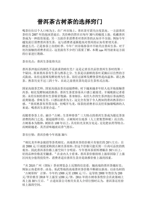 普洱茶古树茶的选择窍门