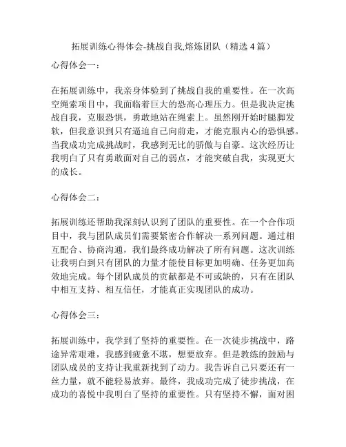 拓展训练心得体会-挑战自我,熔炼团队(精选4篇)