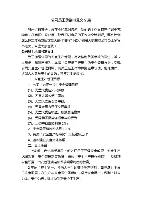 公司员工承诺书范文5篇