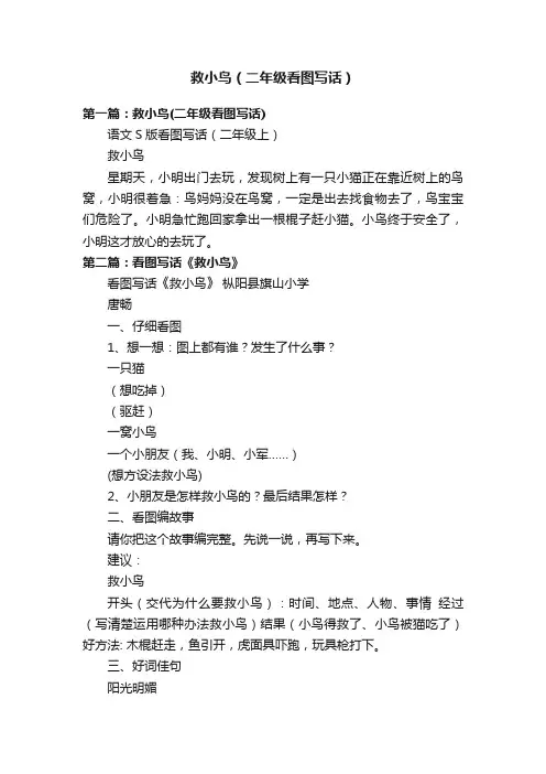 救小鸟（二年级看图写话）