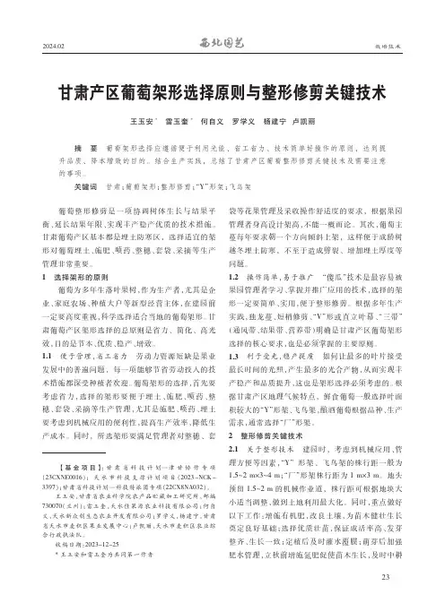 甘肃产区葡萄架形选择原则与整形修剪关键技术