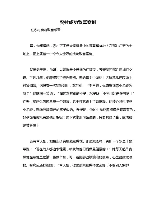 农村成功致富案例