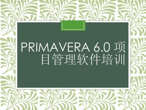 项目管理P6软件PPT