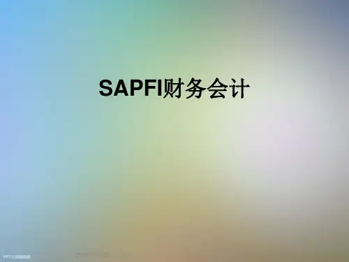 SAPFI财务会计