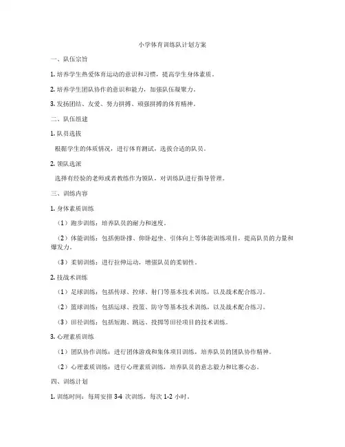 小学体育训练队计划方案