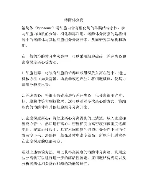 溶酶体分离