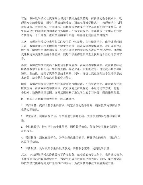 小_双师_教师心得体会