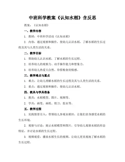 中班科学教案《认知水稻》含反思