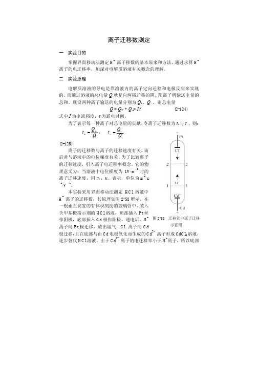 离子迁移数测定