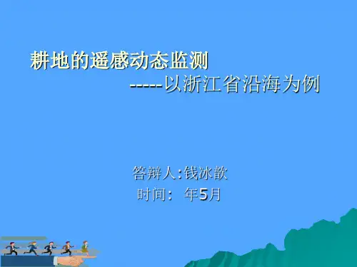 耕地的遥感动态监测优选PPT