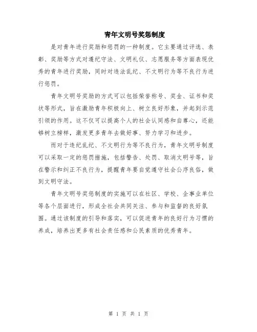 青年文明号奖惩制度