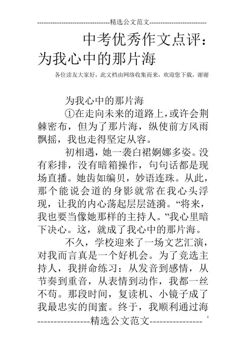 中考优秀作文点评：为我心中的那片海