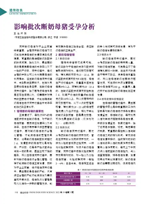 影响批次断奶母猪受孕分析