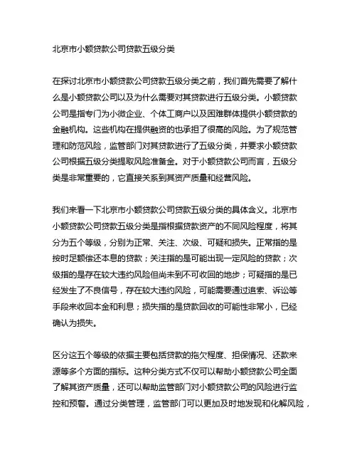 北京市小额贷款公司贷款五级分类