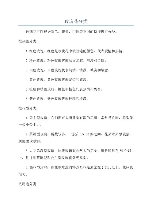 玫瑰花分类
