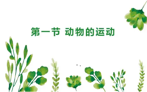 《动物的运动》PPT优质课件