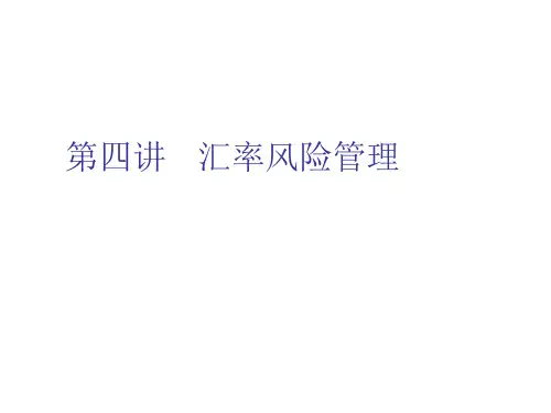 汇率风险管理(PPT 53页)