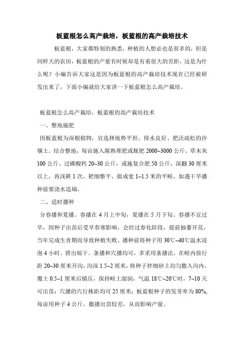 板蓝根怎么高产栽培,板蓝根的高产栽培技术.doc