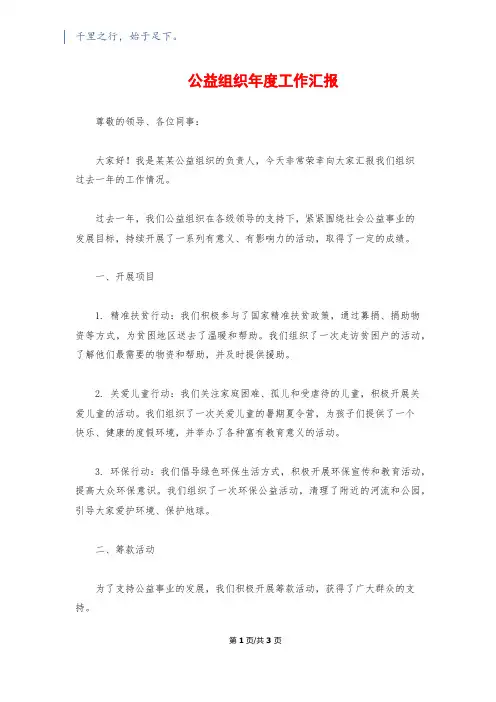 公益组织年度工作汇报