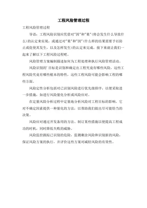 项目风险管理过程.doc