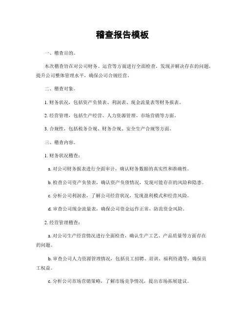稽查报告模板