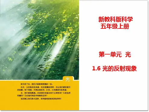 新教科版五年级科学上册《光的反射现象》ppt教学课件