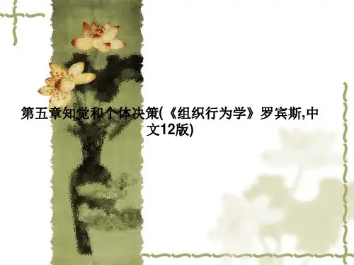 第五章知觉和个体决策(《组织行为学》罗宾斯,中文12版)
