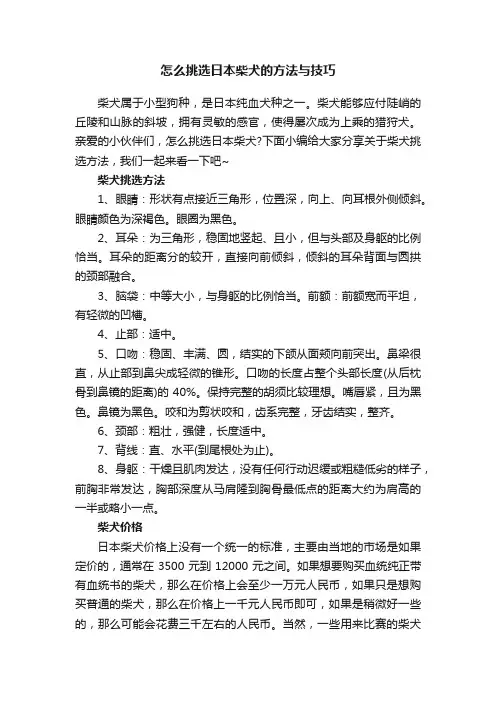 怎么挑选日本柴犬的方法与技巧