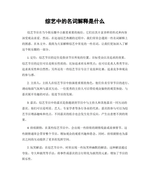 综艺中的名词解释是什么