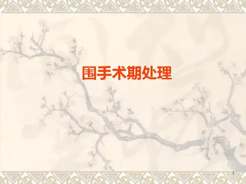 围手术期处理PPT课件