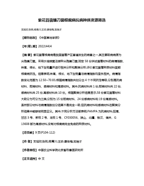 紫花苜蓿镰刀菌根腐病抗病种质资源筛选