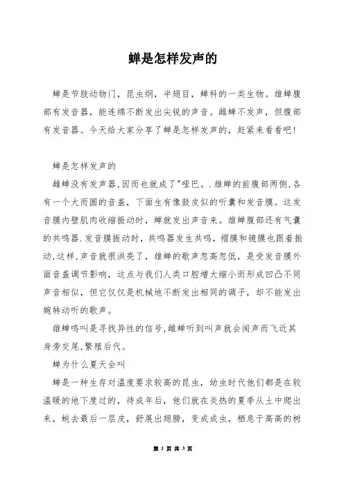 蝉是怎样发声的