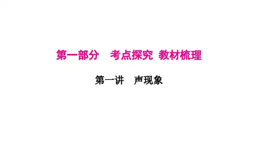中考物理一轮复习：第一讲声现象(1)