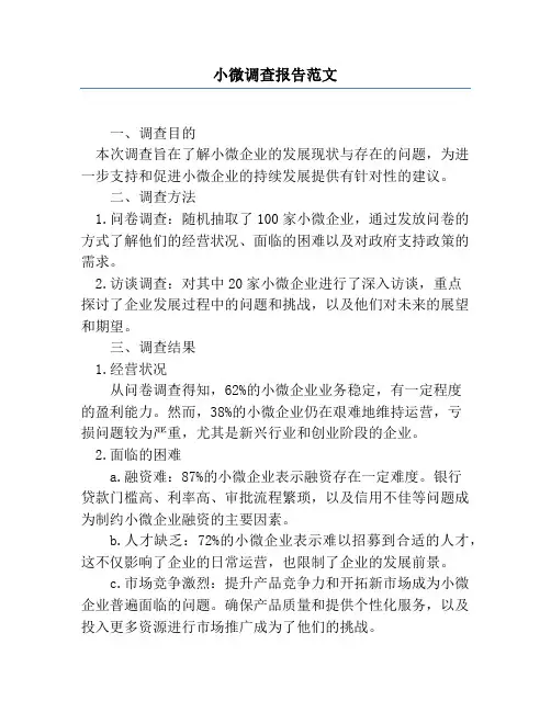 小微调查报告范文