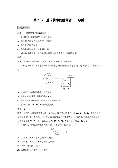 课时作业31：2.3 遗传信息的携带者——核酸