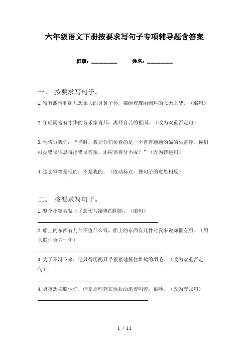 六年级语文下册按要求写句子专项辅导题含答案