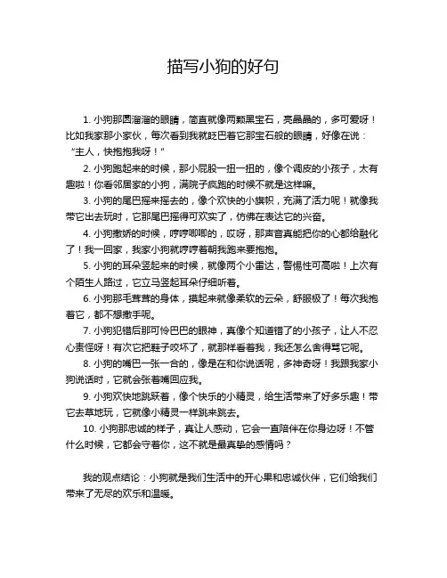 描写小狗的好句