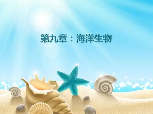 海洋科学导论第9、10章 生物 声光(文档不可编辑)