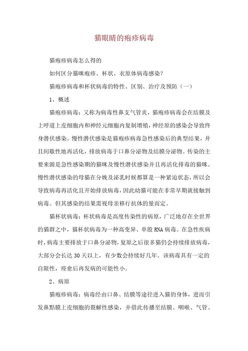 猫眼睛的疱疹病毒