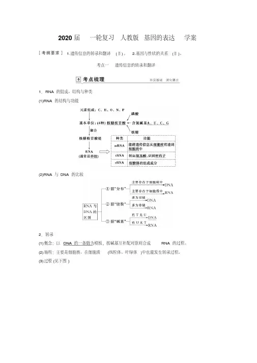 2020年高考一轮复习人教版基因的表达学案.doc